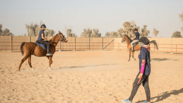 Horse Riding Training Course One Session